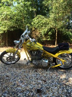 Big-Dog-10-1080-14x14-Clear.JPG