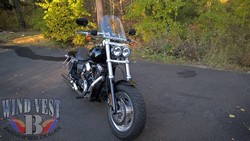 FDXF-Fat-Bob-14x14-Clear.jpg