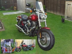 FXDB-Street-Bob-16x14-Clear.jpg