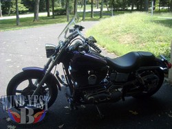 FXDL-Tbars-14x14-Clear.jpg