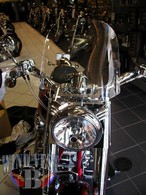 FLSTFSE-16x14-Clear.jpg