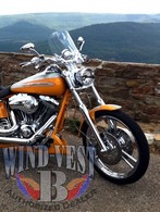 FXSTD-10-1091-14-Clear.jpg