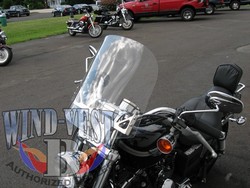 XLC-Sportster-Clear-14x14.jpg