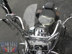 Honda-VT750-ACE-14x14-Clear.jpg