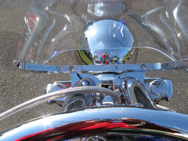 FLSTF Tbars 16x14 clear 02