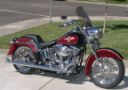 FLSTF 10_1490CT 16x16 tint 02