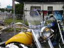 Harley FL Softail Models