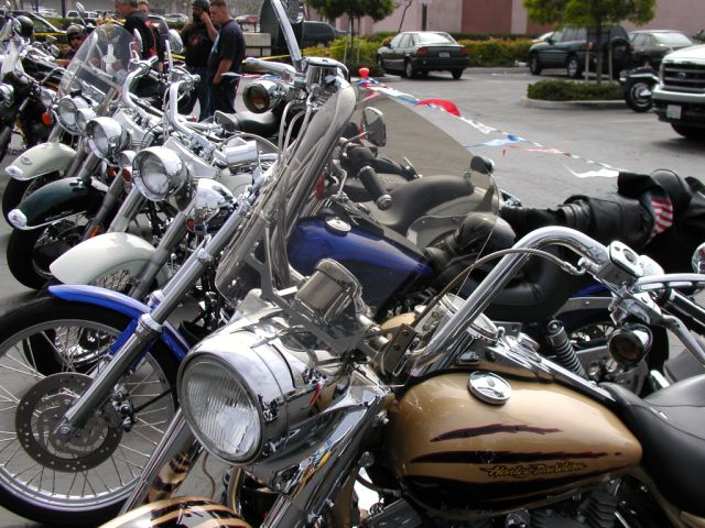 FLHRSE 2003 tint size unknown