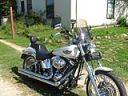 Harley Softail Models