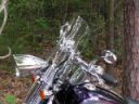 Harley Springer Softail Models