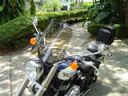 Bonneville 16x14 tint 03